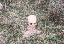 Arnavutköy'de insana ait kafatası bulundu; ekipler harekete geçti