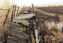 Yangında zarar gören Sultan Sazlığı Milli Parkı'nın yürüyüş yolu, tadilat bekliyor