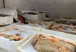 Kaçak balık avlayan 2 kişiye 75 bin lira ceza