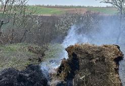 Sıcaklığın düştüğü Edirne'de üreticiler, badem ağaçlarını 'dumanlama' yöntemi ile koruyor