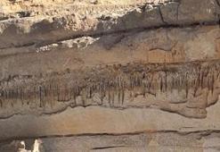 Namibya Çölü kayalıklarında bilinmeyen yaşam formu bulundu