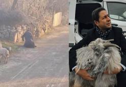 MHP'li vekil, kötü muamele gören hayvanlardan birini sahiplendi