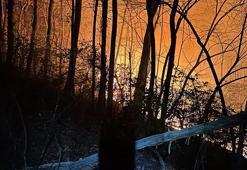 ABD’nin Kuzey Carolina eyaletindeki yangınlar nedeniyle tahliye emri verildi