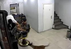 Köpek, kuaförde tedirginliğe neden oldu