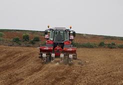 Tekirdağ'da 1 milyon 700 bin dekar alanda ayçiçeği üretimi yapılacak