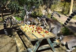 118 türden hayvanın korunduğu park bayramda da ziyarete açık