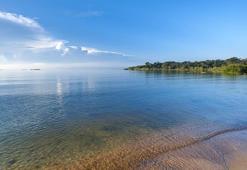 Viktorya Gölü yeşile dönüyor