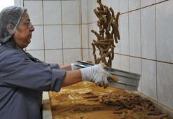 Festivalde saçılacak 8 ton mesir için mesai başladı