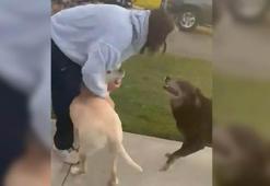 Uzayda 9 ay mahsur kalan ABD’li astronot, köpekleriyle buluştu