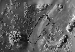 Trump, Yemen'deki Husilere yönelik saldırının görüntüsünü paylaştı