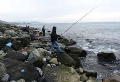 Denize 2 ton levrek dağıldığını duyanlar, sahile koştu