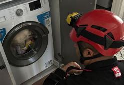 Çalışan çamaşır makinesinde sıkışan kediyi itfaiye kurtardı
