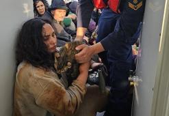 Kaçak göçmen, yanında kedisiyle yakalandı