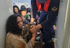 Kaçak göçmen, yanında kedisiyle yakalandı