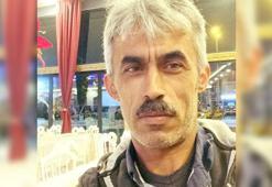 Başına dal düşen ağaç kesim işçisi öldü