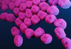 Ölümcül antibiyotik dirençli ‘süper bakteri’ tespit edildi
