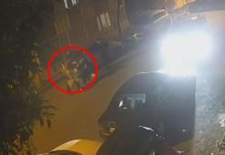 Gaziosmanpaşa'da sokak ortasında kucağında bebeği olan eşini darbetti