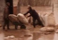 Karlıova'da sağanak; Peri Suyu Çayı taştı, araziler su altında kaldı