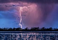 Hindistan'da yıldırım düşmesi sonucu hayatını kaybedenlerin sayısı 22’ye yükseldi