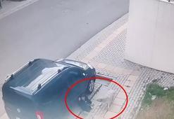 Okuldan çıkan çocuğa başıboş köpeklerin saldırısı kamerada