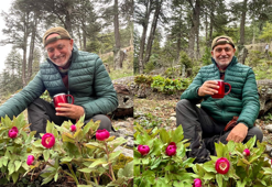 Toros Dağları’nda şakayık zamanı