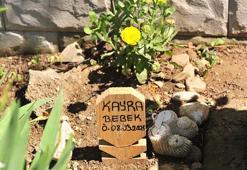 Kürtajla alınan cenin için ‘kaçak defin’ soruşturması