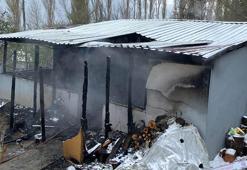 Prefabrik evde çıkan yangında 2 çocuk öldü