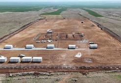 Şırnak'ta tüm sokak hayvanları yeni merkezde toplanacak