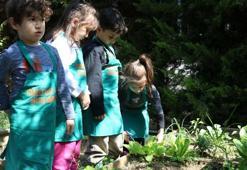 Yağmur suyuyla sebze yetiştiren anaokulu öğrencileri, kendi yemeklerini hazırlıyor