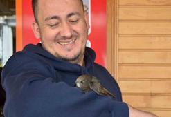 İş yerine giren ebabil kolunu bırakmadı, veteriner müdahalesiyle ayrıldı