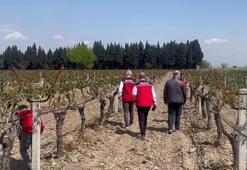 Bakan Yumaklı: Tarihimizin en büyük 'zirai don' olaylarından birini yaşadık