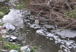Kırklareli'de Saranlı Deresi'nde kirlilik nedeniyle köpükler oluştu