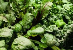 Araştırma: K vitamini eksikliği bilişsel gerilemeye neden oluyor