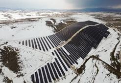 BİM, 4 yeni GES yatırımını devreye aldı