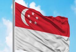 Singapur Cumhurbaşkanı, parlamentoyu feshetti