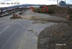 Köpeklerden kaçarken duvardan düşen Arda'nın bacağı kırıldı