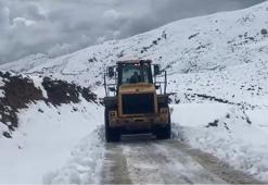 Batman'da kardan kapanan 65 yerleşim yerinden 61’inin yolu açıldı