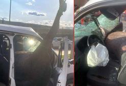 Gaziantep’te , yola fırlayan at polis aracına girdi