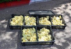 Zabıta, otobüsle gönderilen 300 civcive el koydu