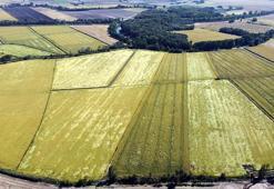 Tunca Nehri'nde yatak temizliği yapılıp, su biriktirme alanları oluşturuluyor