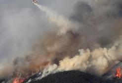 Güney Kore'de orman yangınlarında 104 bin hektar alan zarar gördü