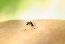 Kolombiya Cumhurbaşkanı Petro'dan ‘sarıhumma aşısı’ çağrısı