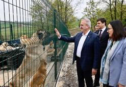 Sokak hayvanlarına 51 ilde doğal yaşam alanları