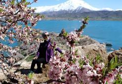 Akdamar Adası'nda '3'üncü Badem Çiçeği Festivali' başladı