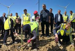 Çanakkale'de 100 bin fidanlık 'bakanlık' hatıra ormanı