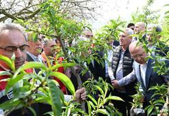 Bakan Yardımcısı Gümen: İznik’te 63 bin dekar alan zirai dondan etkilendi