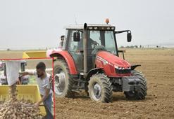 Turfanda patates deposu Niğde'de ekim alanları azaldı