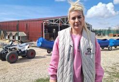 Sokak hayvanları derneğine 'para aklama' davası; 16 sanığa 12 yıl 3'er aya kadar hapis istemi