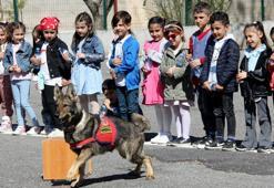Jandarma köpeklerinden çocuklara 23 Nisan gösterisi