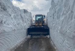 Karla kaplı Mesudiye-Çambaşı yolu nisanda ulaşıma açıldı